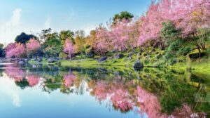 The top spring break travel destinations to visit in 2023